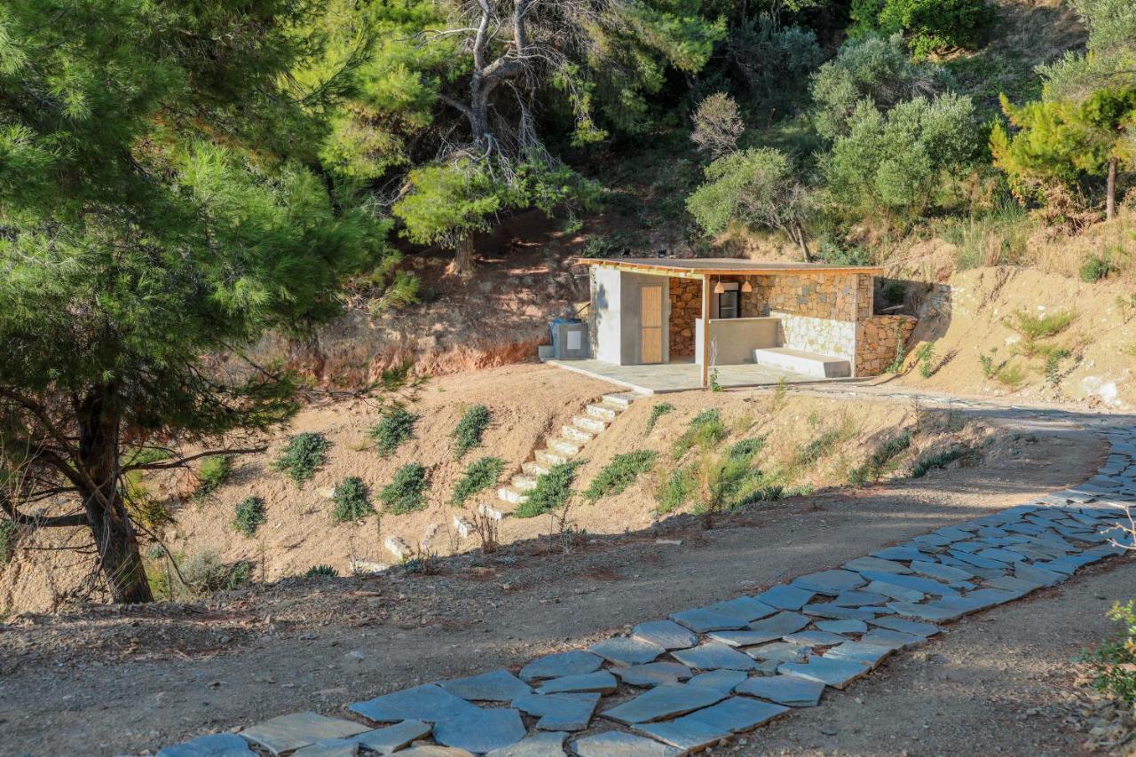 Thalasses Villas Skiathos Púnda Kültér fotó